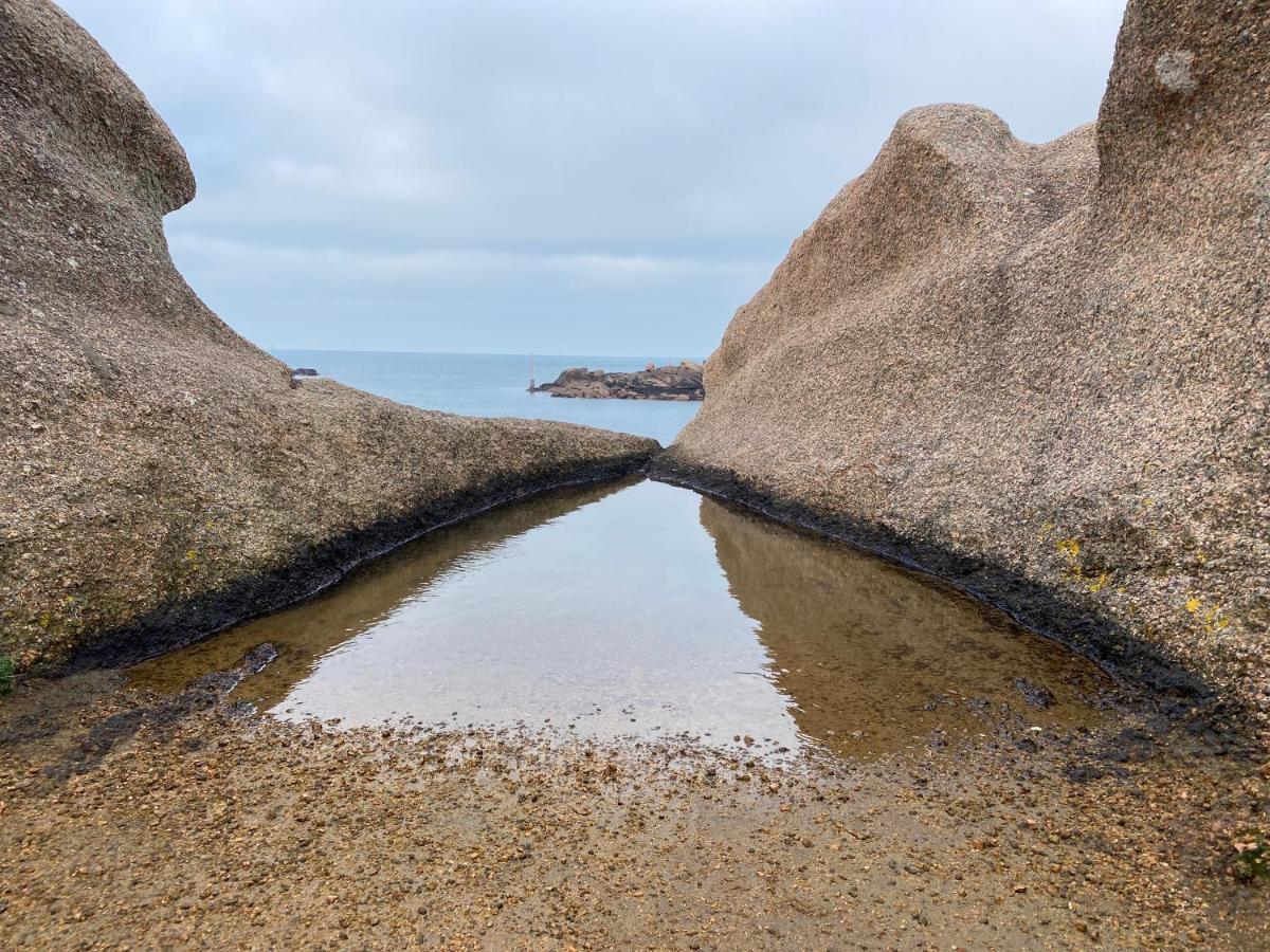 Residence Du Pelican لانيون المظهر الخارجي الصورة